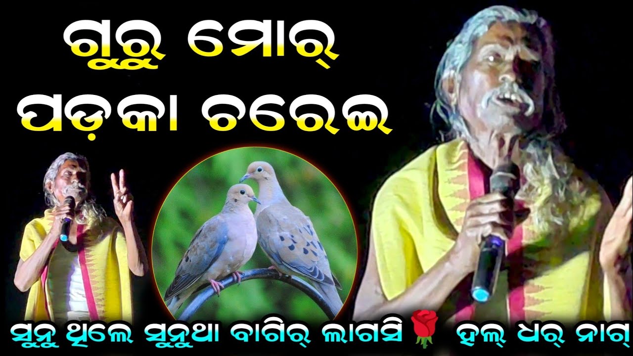 Guru Mor Pankha Chadhei Kavita| Haldhar Nag | Odisha Viral Kavita