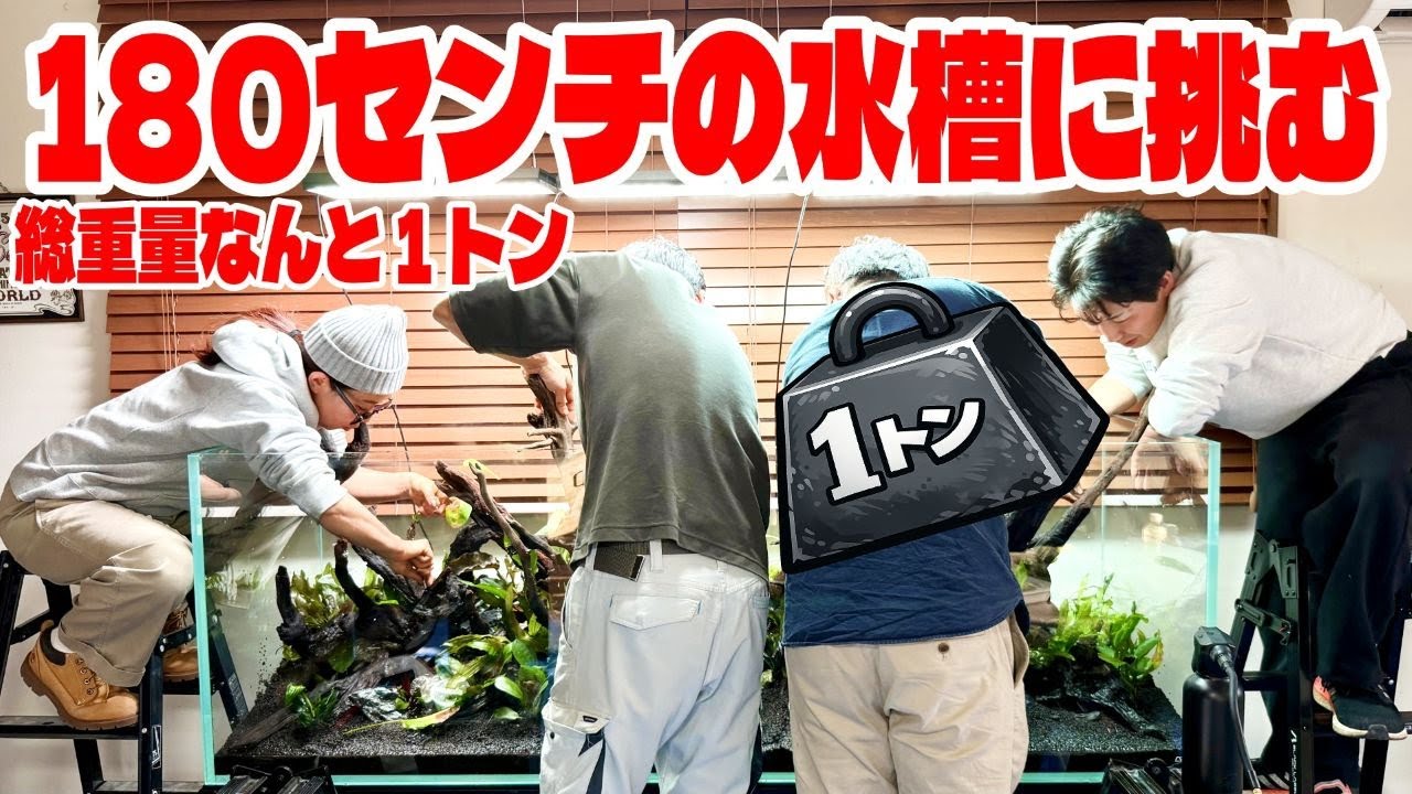 【アクアリウム】総重量はなんと1トン！ADAキューブガーデン1800で作るメガサイズの水草レイアウト水槽（アクアリストの夢を実現させた男の物語！何もかもが規格外で驚きの連続！）