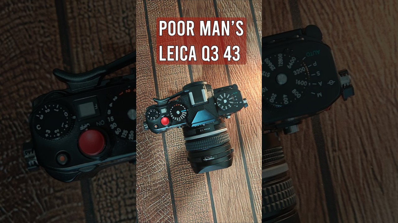 Poor man's Leica Q3 43 - Nikon Zf + 40mm f2 + square hood