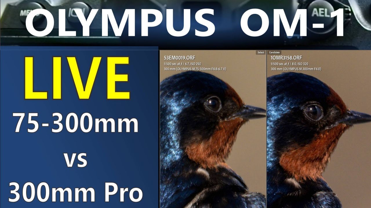 Olympus 75-300mm Kit vs 300mm f4 Pro Live Photo Chat ep.216