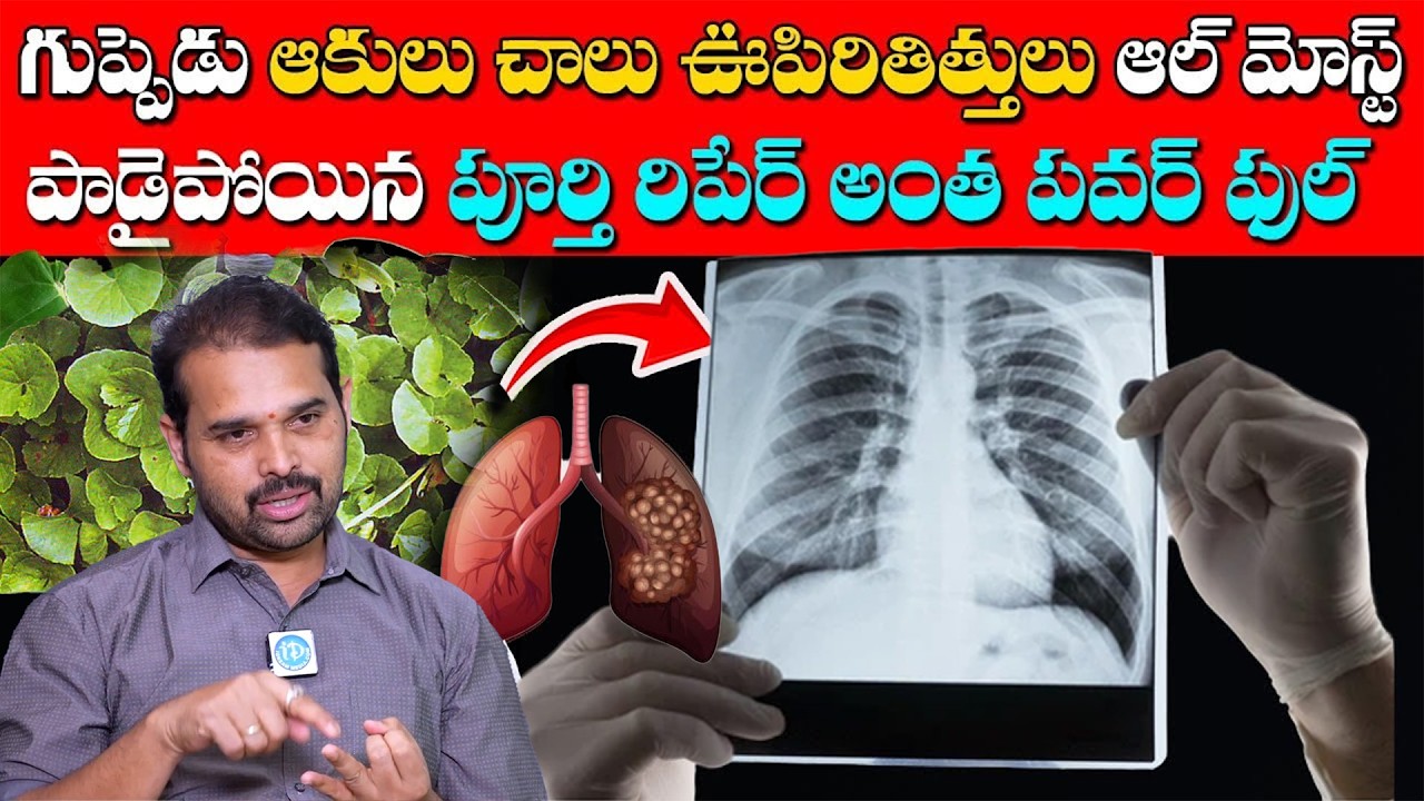 4రోజులుతాగితే ఎలాంటిరోగం అయినా మాయం| Best Tips to Clean your Lungs ,Liver And Heart | Dr Dilip kumar