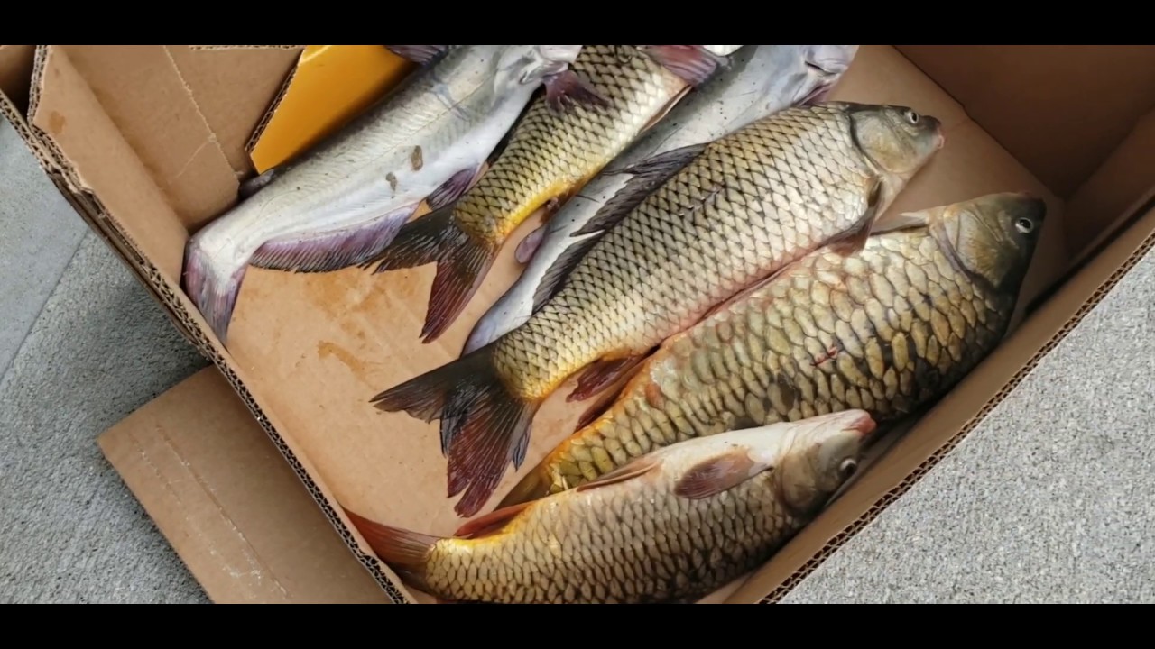 Fishing in Lexington KY. 29 Oct. 2019