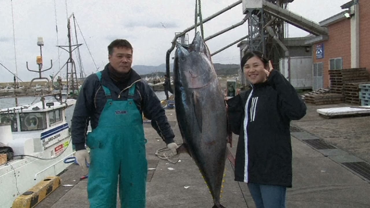 ５億円超のマグロを釣り上げた大間港「第11長宝丸」は食堂も運営「５億円定食つくりたい」