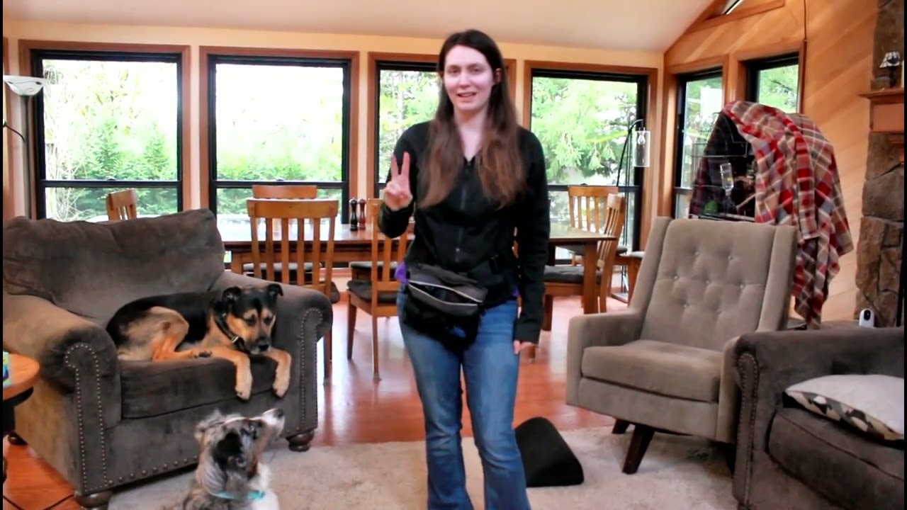 How to Teach Come Bye & Away - Herding Dog Training Tutorial