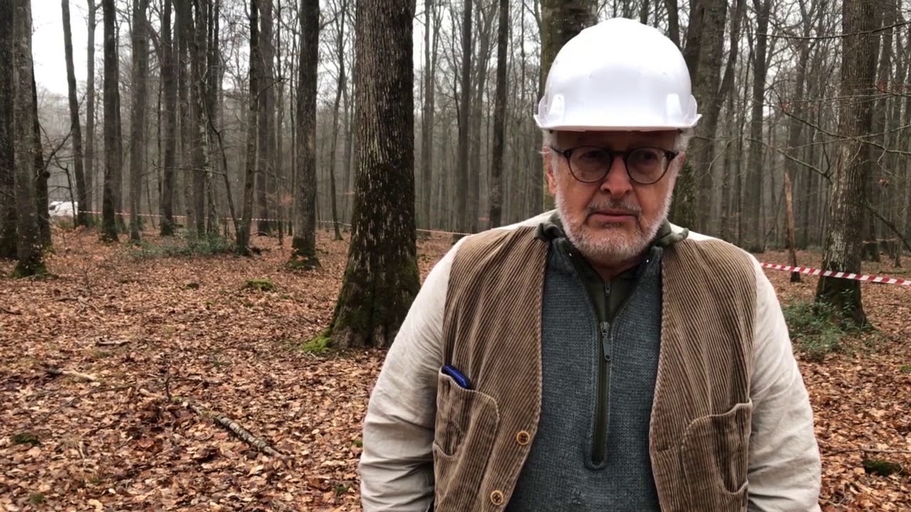 Forêt de Senonches : une charpente comme au temps des cathédrales