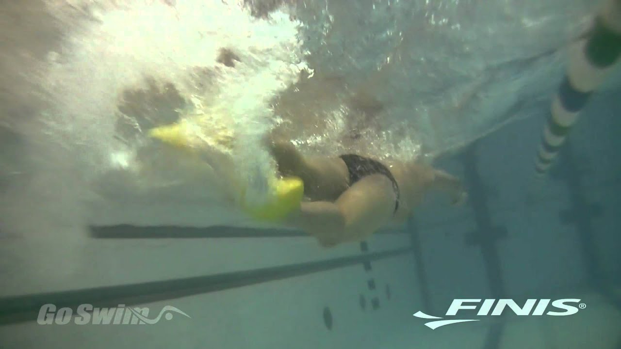 FINIS Zoomers® Gold: New Formula for Comfort & Performance