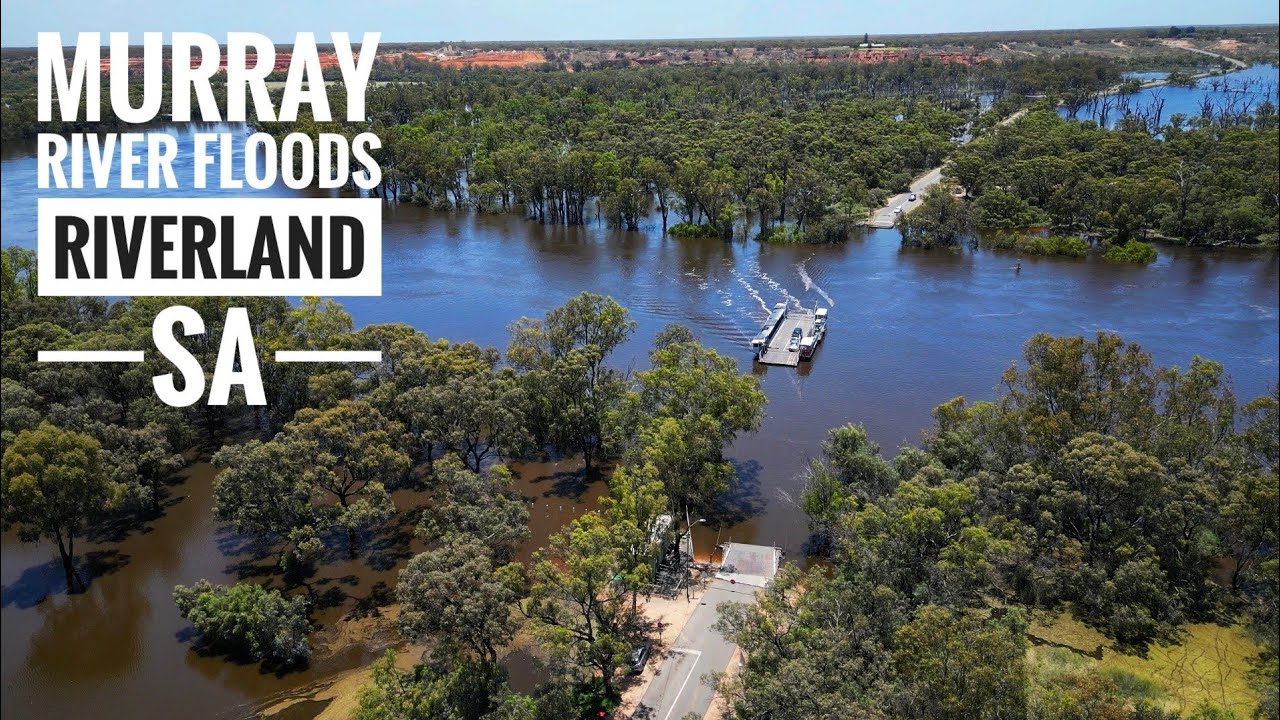 Murray River Floods 29 Nov 2022 - Riverland, SA - Lyrup to Berri