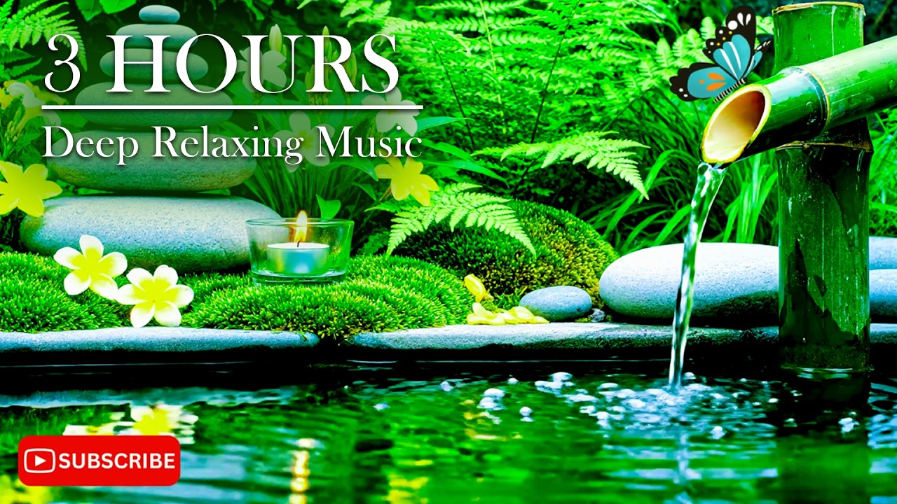 Deep Relaxing Meditation Music 🌿 Calm Music for Peace and Relaxation