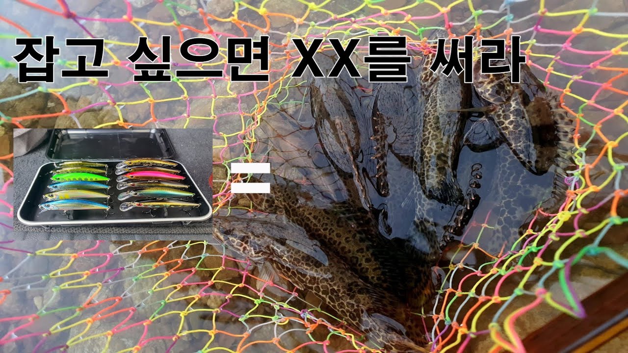[노을TV]쏘가리를 만나고 싶을땐  XX를 쓰면 무조건 잡을수있다!!