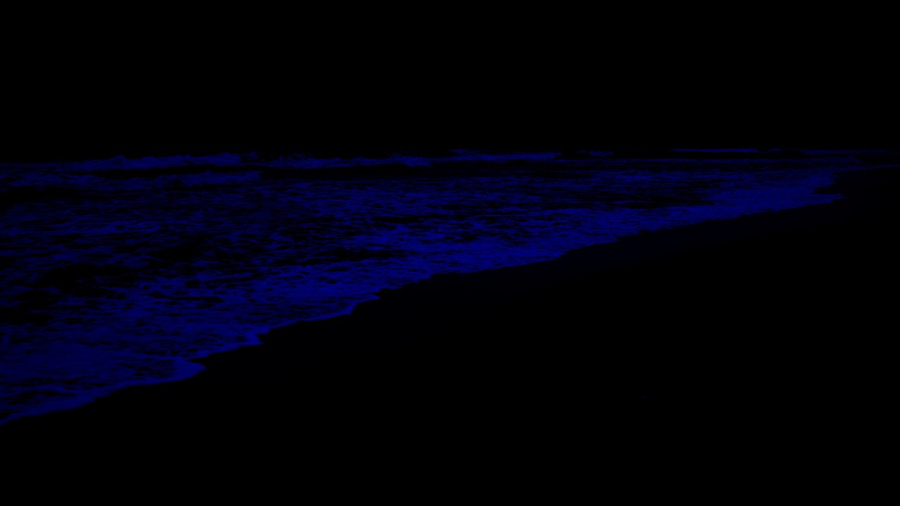 No Ads Sleep Hypnosis for Instant Calming Waves • Eliminate Stress • Detox Negative Thoughts