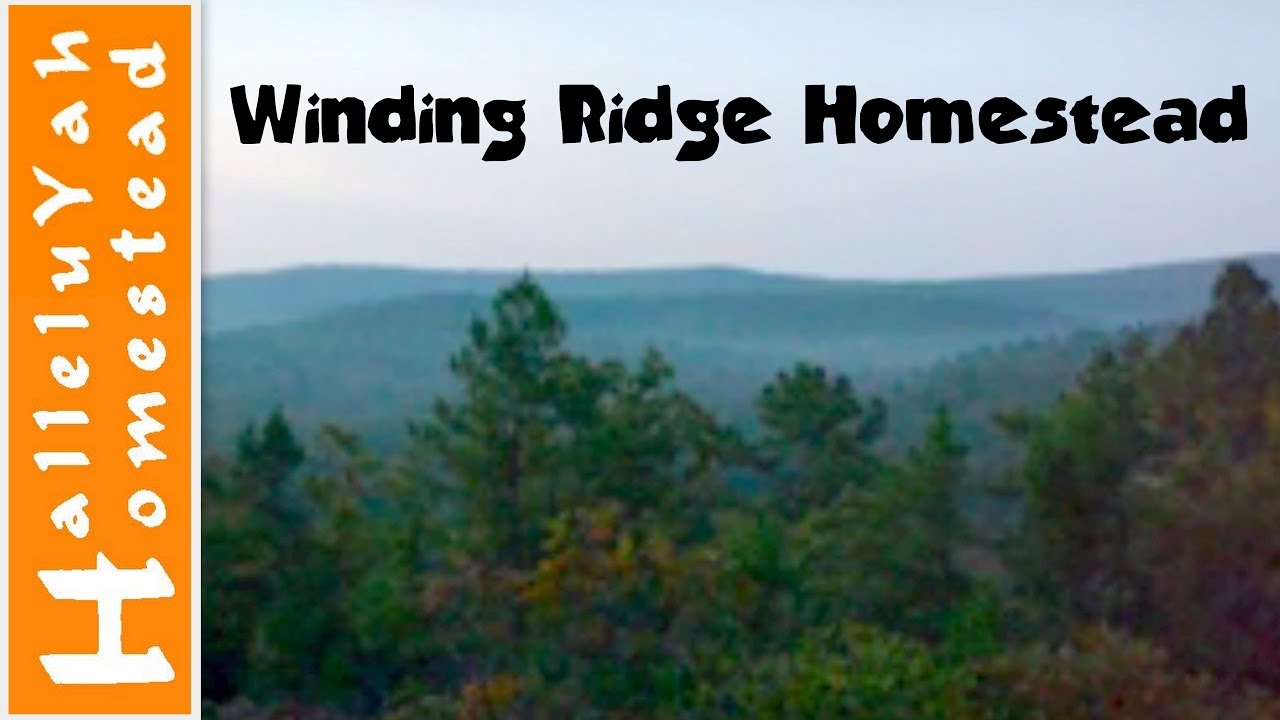 Nearly 20 years Off Grid....Homestead Tour - Part 1/3