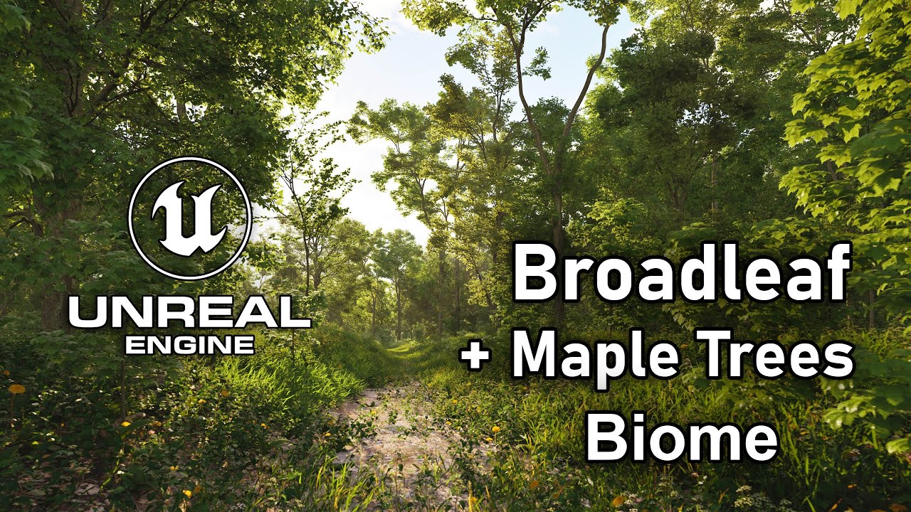Broadleaf + Maple Trees Biome Cinematic | Unreal Engine 5.4 Ultra Realistic Wind #unrealengine #UE5