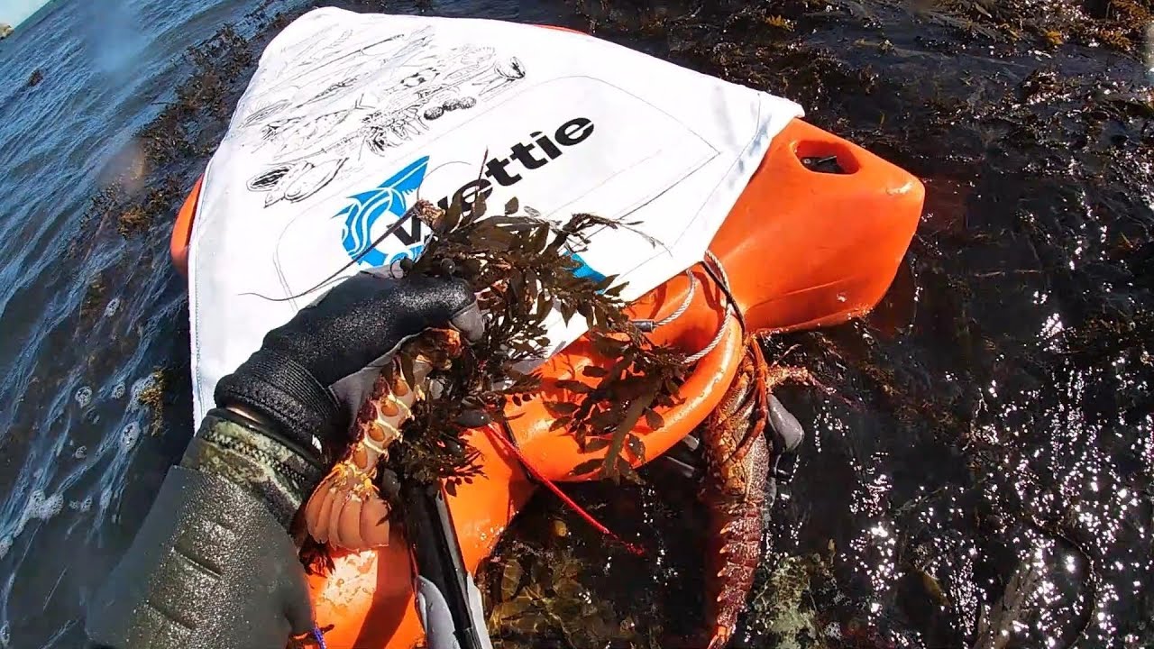 Ep2 28-12-22 Kaikoura Crayfish & Kina catch