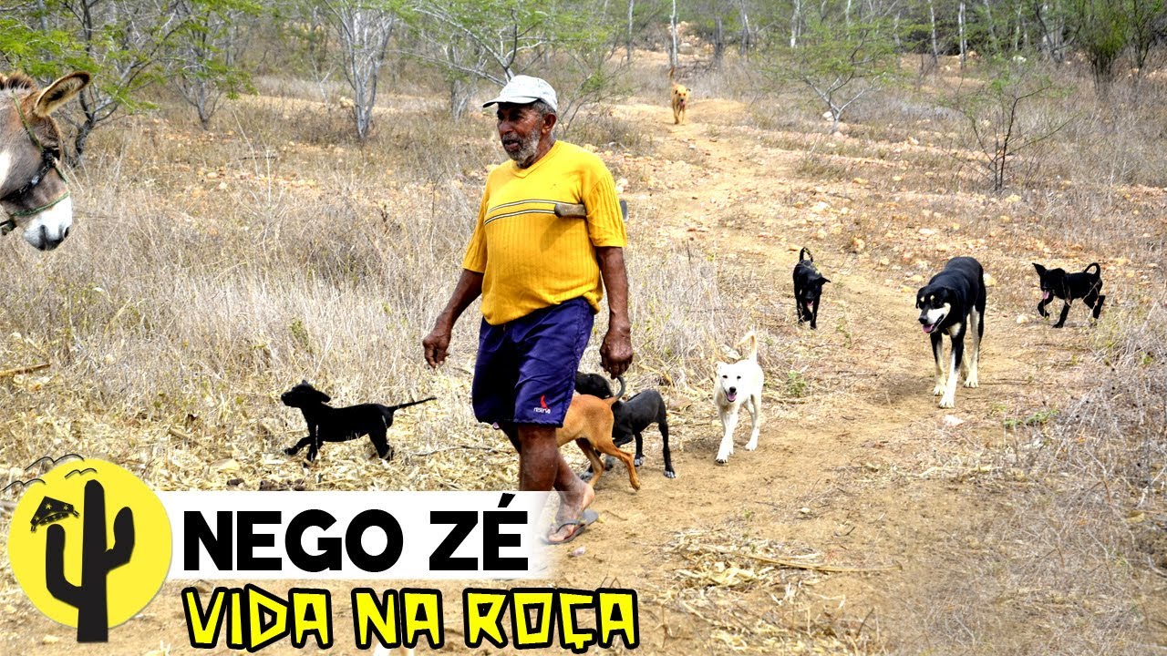 [VIDA NA ROÇA] NEGO ZÉ, fala os nomes dos seus 27 Cachorros e Conta muitas Histórias - Parte 01 🌵