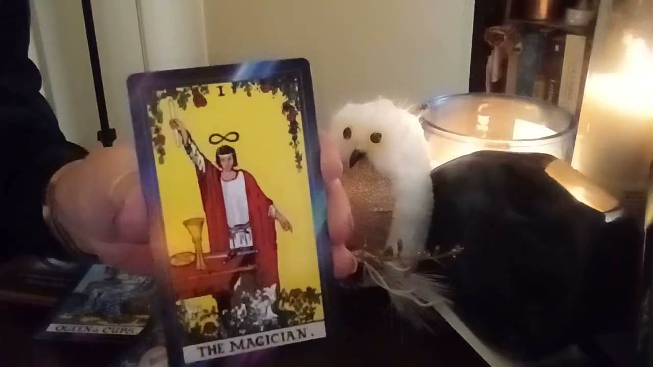 Tell this story and see what you get!🎺✨️💫TODAY'S TAROT #tarot #tarotcardreading #collectivereading 
