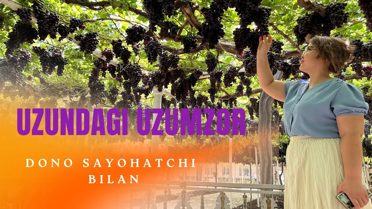 Uzun Tumanidagi Mo‘jizaviy Uzumzor | TABIAT SAYOHATI | SAYOHATCHI DONO