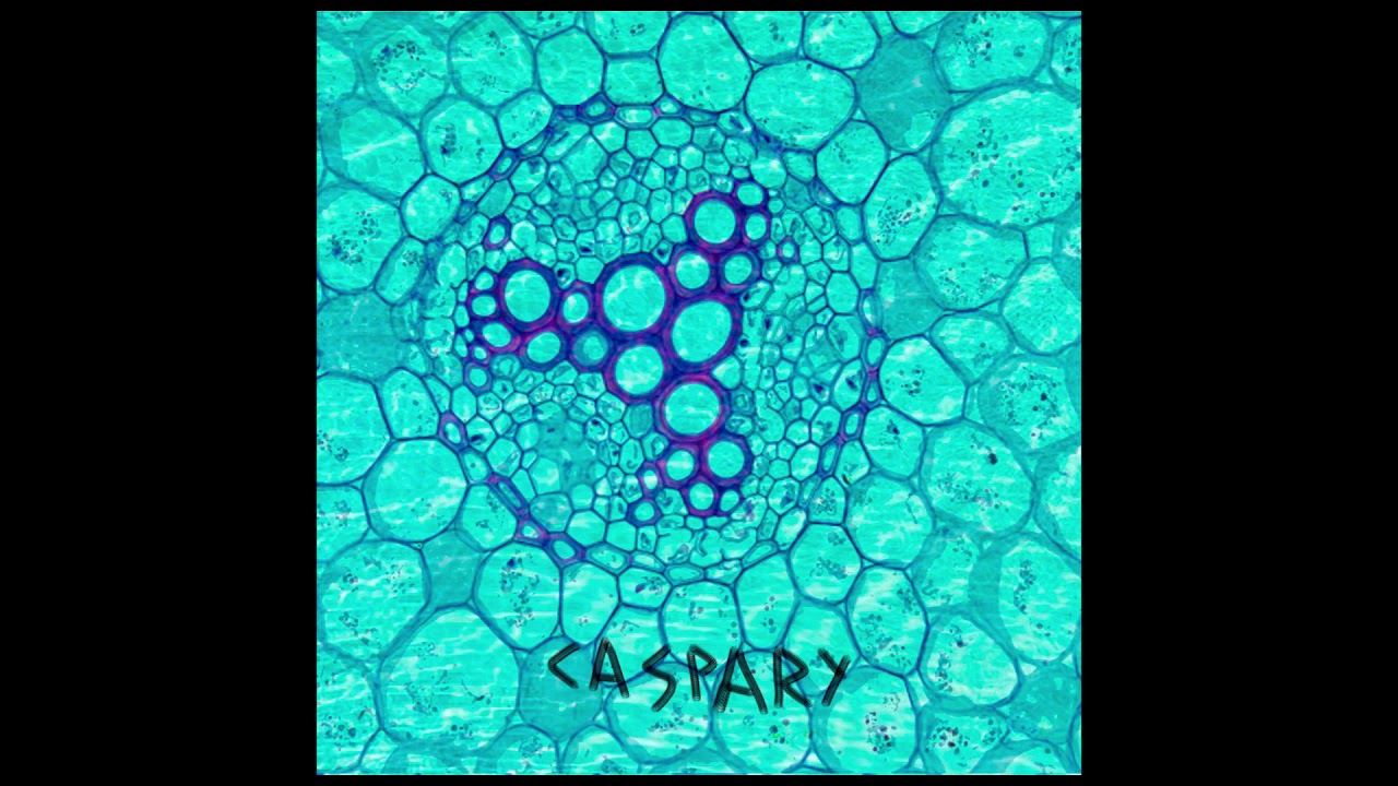 CASPARY - BED CONFESSIONS