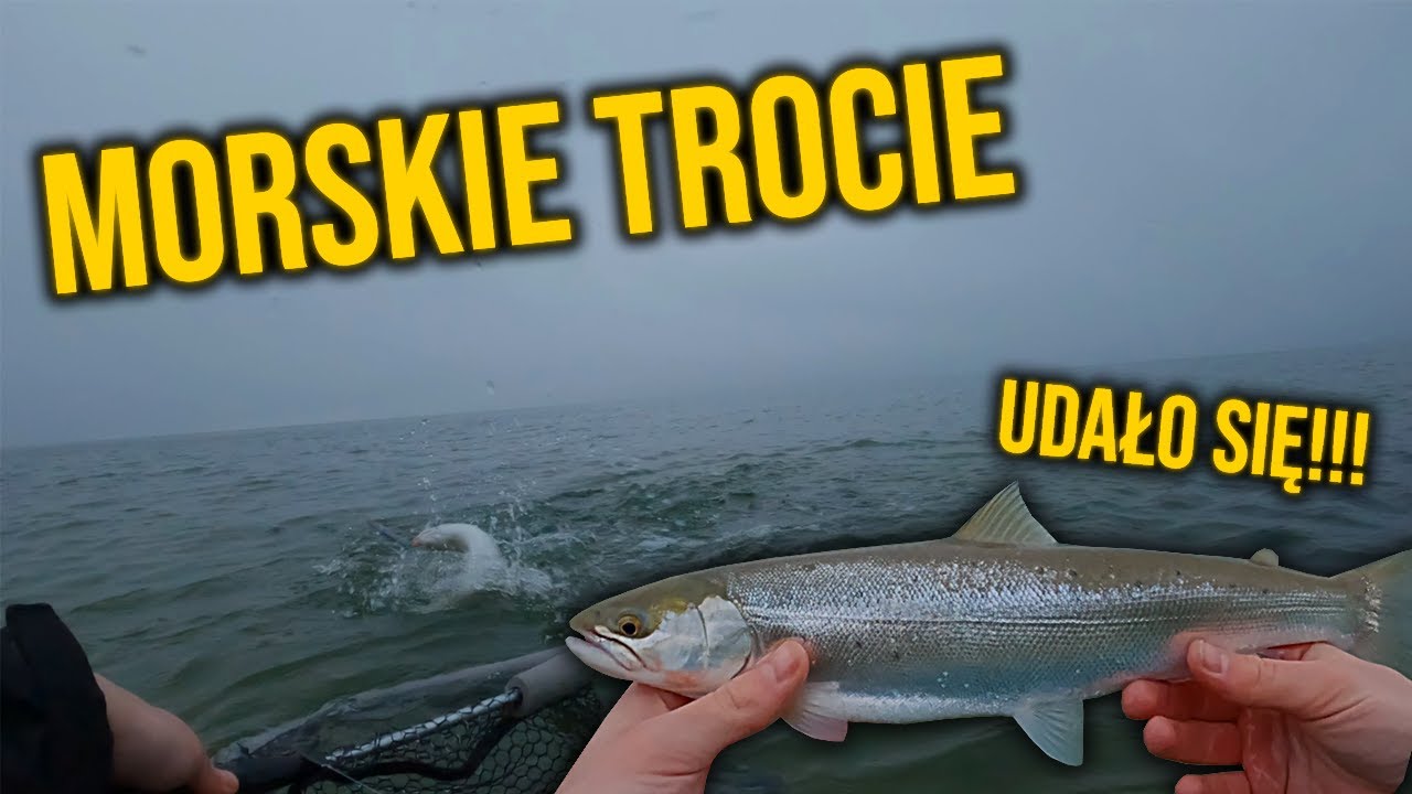 ŁOWIENIE NA BAŁTYKU Z BRZEGU!!! | MORSKIE TROCIE | #vlog68