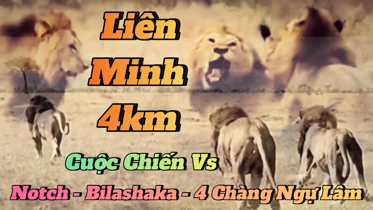 Cuộc Chiến Khốc Liệt Nhất Mara: Khi 'Cơn Ác Mộng' 4KM Chạm Trán 4 Chàng Lính Ngự Lâm