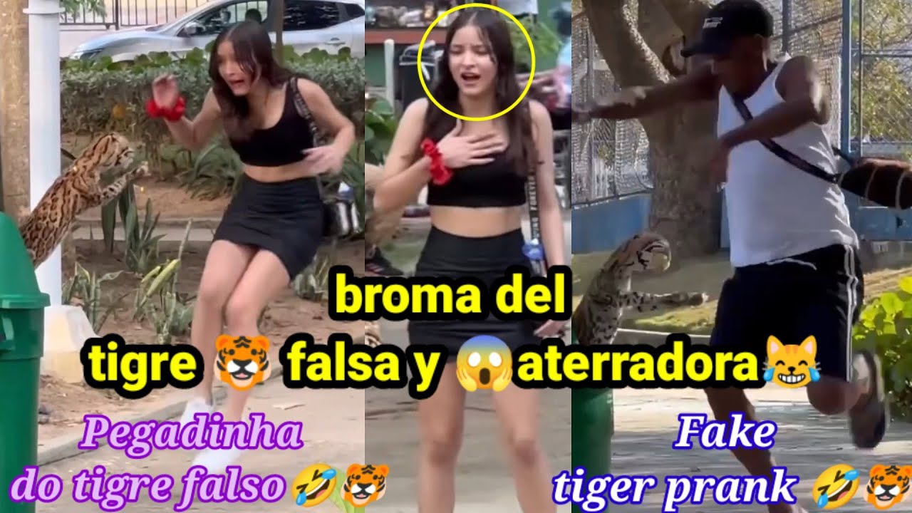 Broma del susto🐯 inesperado / Pegadinha de susto 🐯 inesperado / Unexpected scare prank