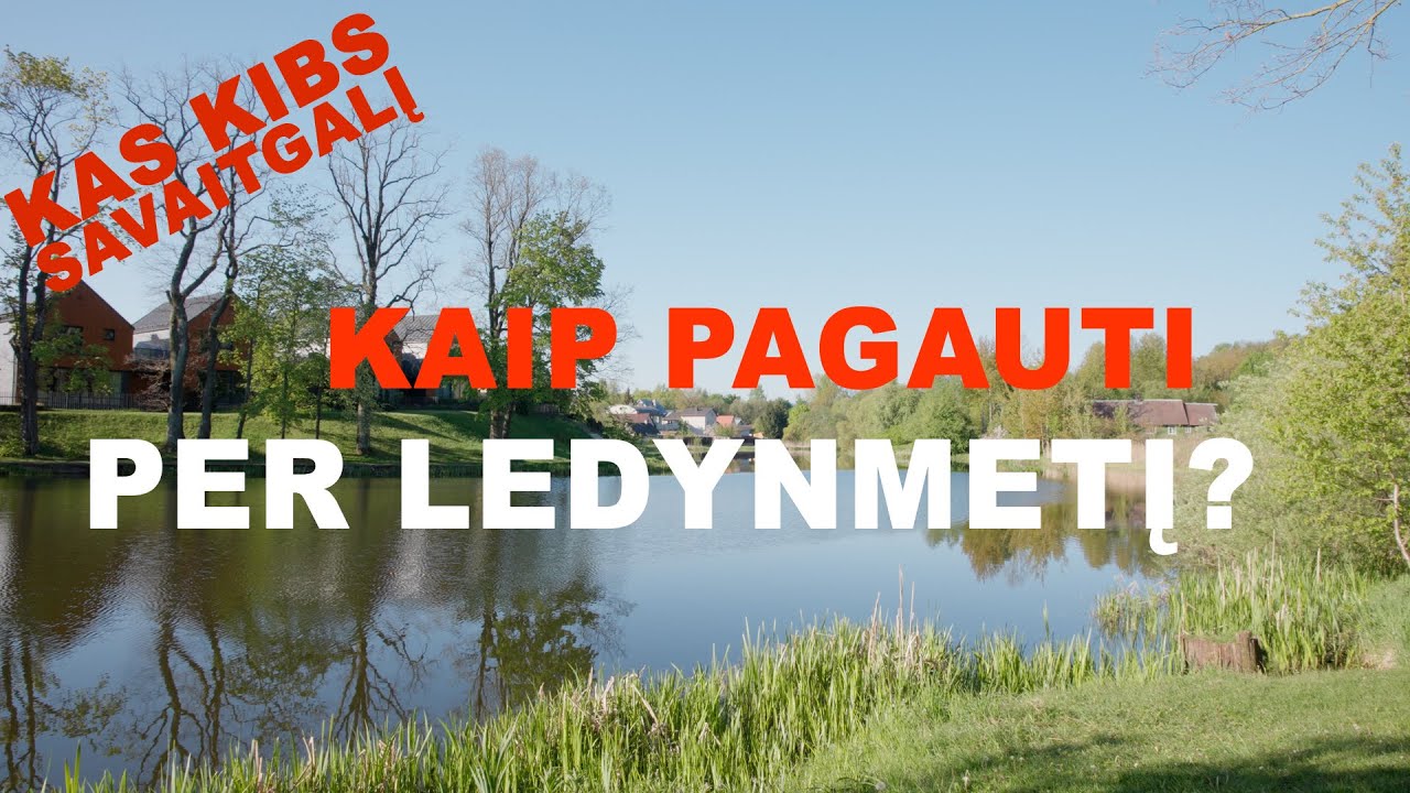 Vėjažuvės pasirodė, 16 ir 18 kg lydekų laimikiai. Kas kibs savaitgalį