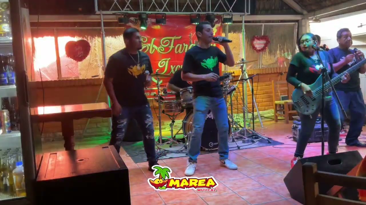 PELOTERO A LA BOLA ( EN VIVO )