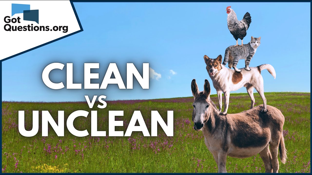 What made some animals clean and others unclean?  |  GotQuestions.org