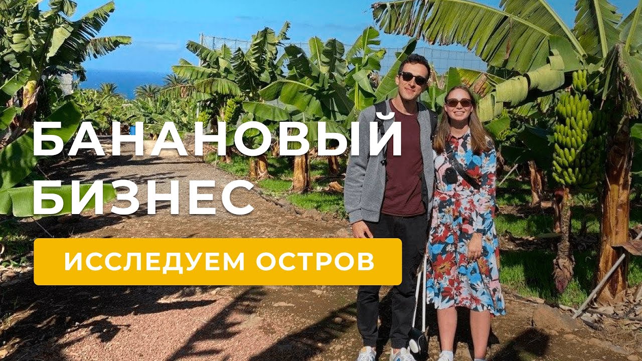 Банановая ферма на Тенерифе | Попугаи на свободе | Санта Крус | Ла Оротава