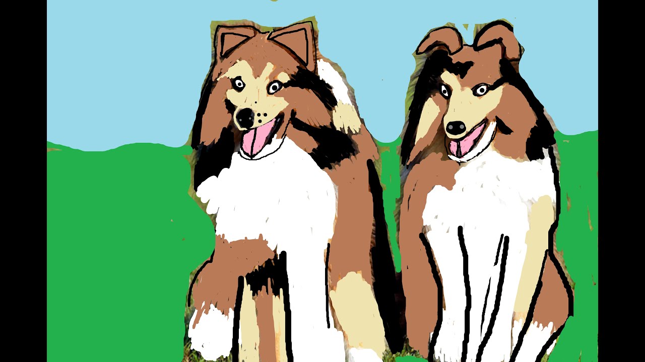 Different kinds of Collie dogs from Periwinkle and friends animal stories for kids