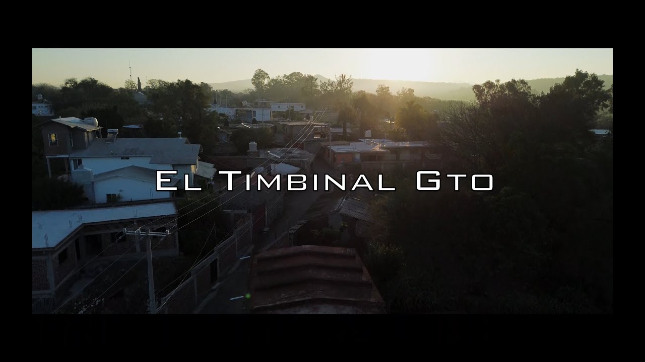 Fiesta Santa Cecilia El Timbinal Gto 2025
