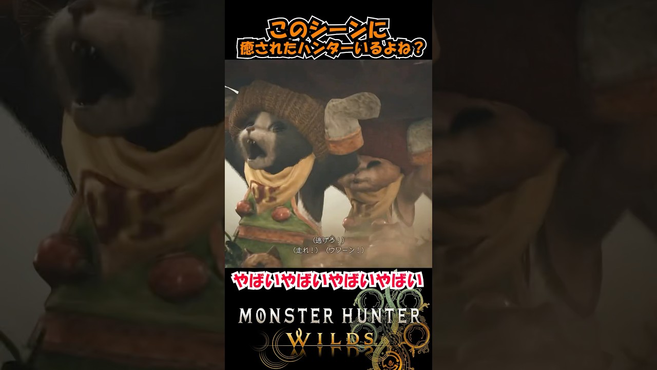 【ニャンター】アイルー可愛すぎるって『モンスターハンターワイルズ』#shorts