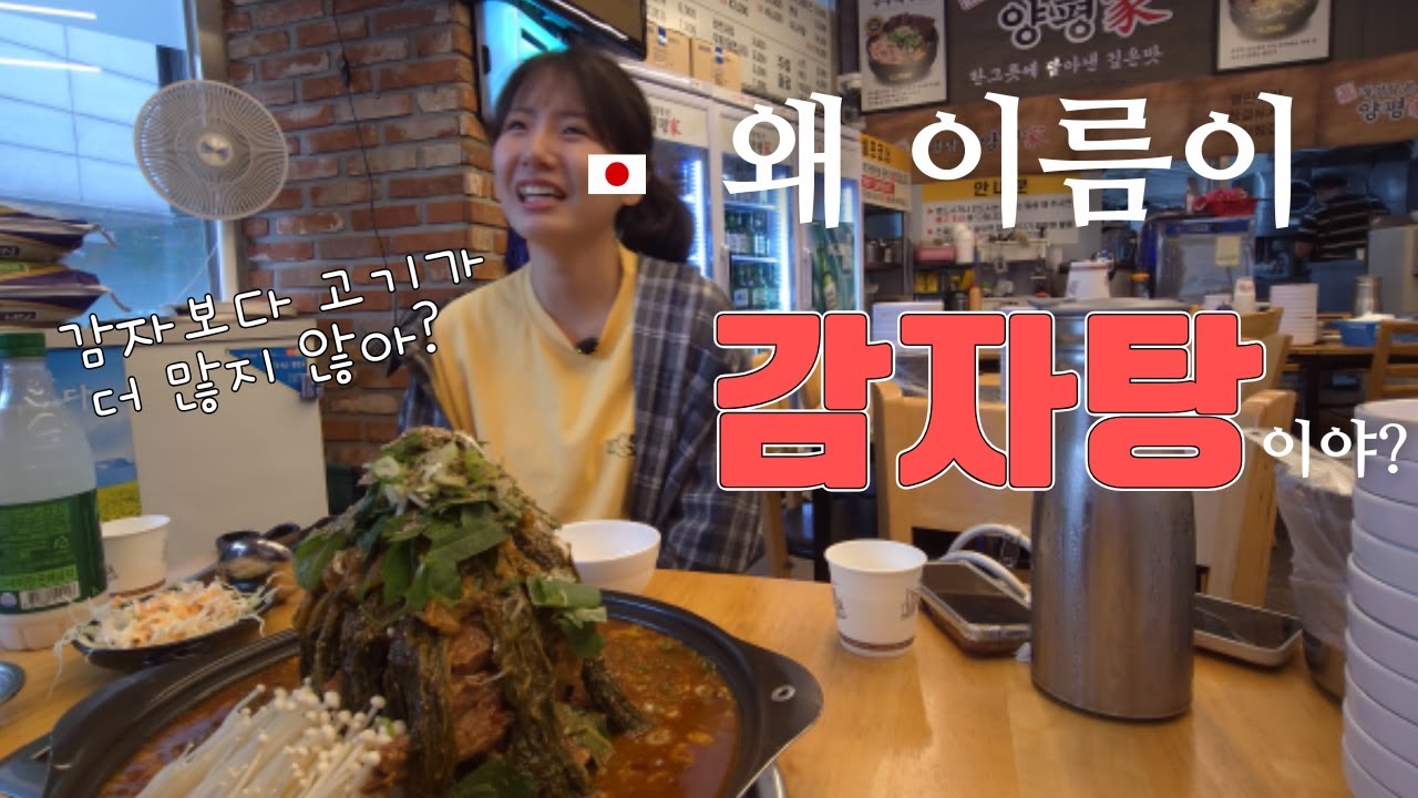 일본인에게 감자탕이란? 일본인이 생각하는 감자탕 이미지 ㅣ 서울 불꽃축제ㅣ 서울 맛집 브이로그 #상계동맛집 #정성담은양평가