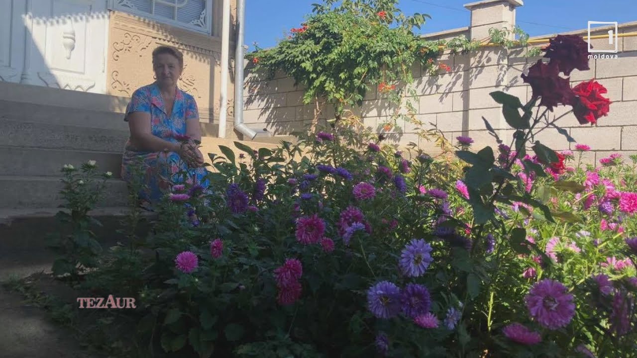 Emisiunea Tezaur 13.09.2020 cu Vera Vornicescu, Lozova