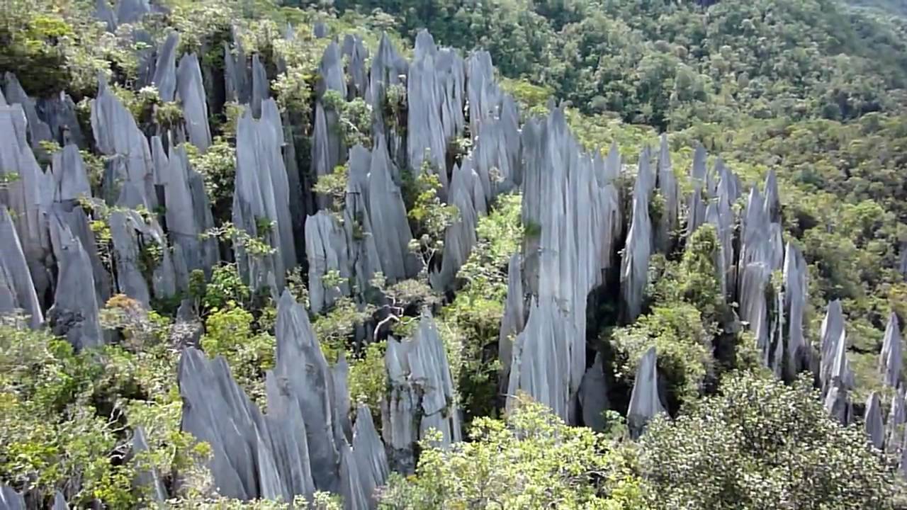 Borneo - The Pinnacles.mpg