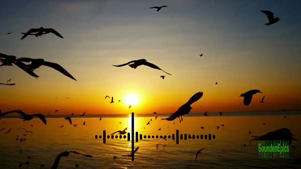 My Fated Boy Intro Music l Chinese Drama l Li Xi Rui l Yi Qian l Free Download