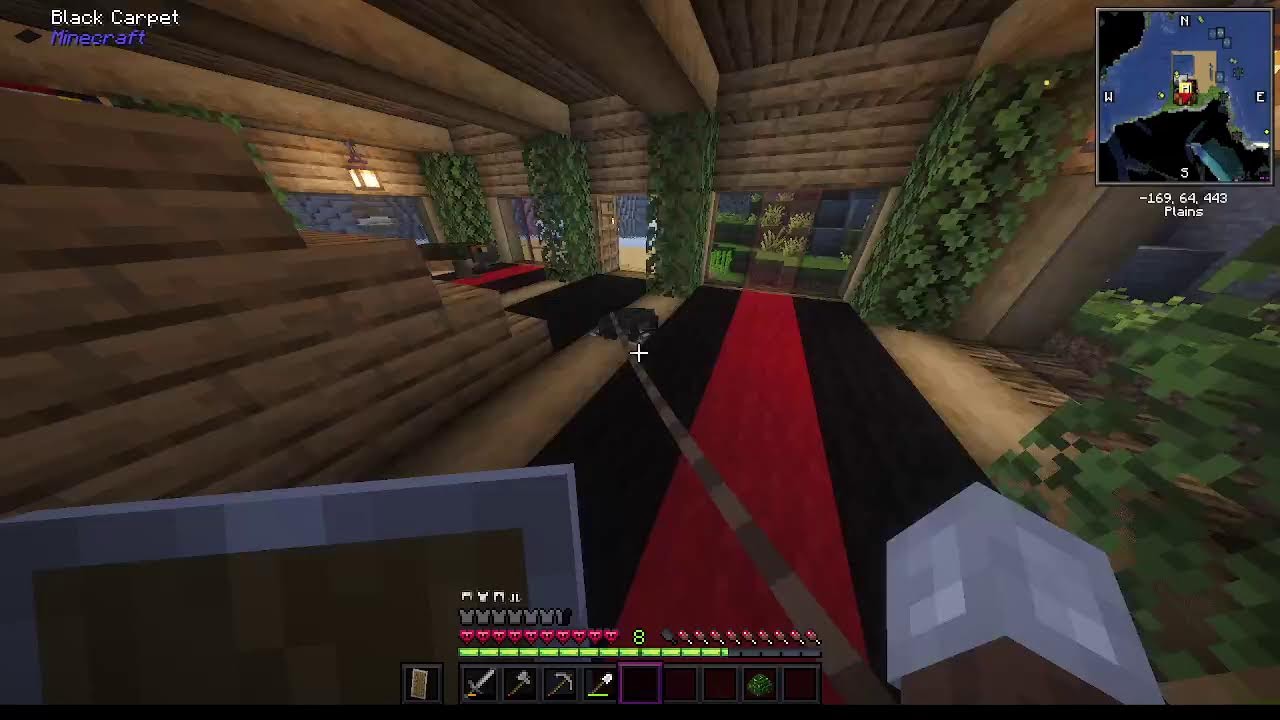 Playing minecraft
