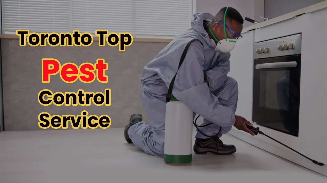 Most trusted Pest & Animal Control Services in the Toronto area