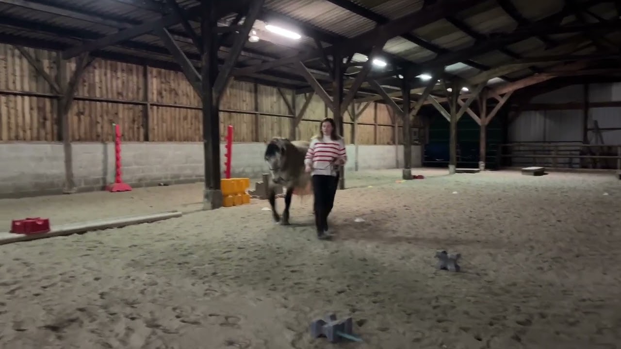 Club 2 manche 2 - Equifeel virtuel