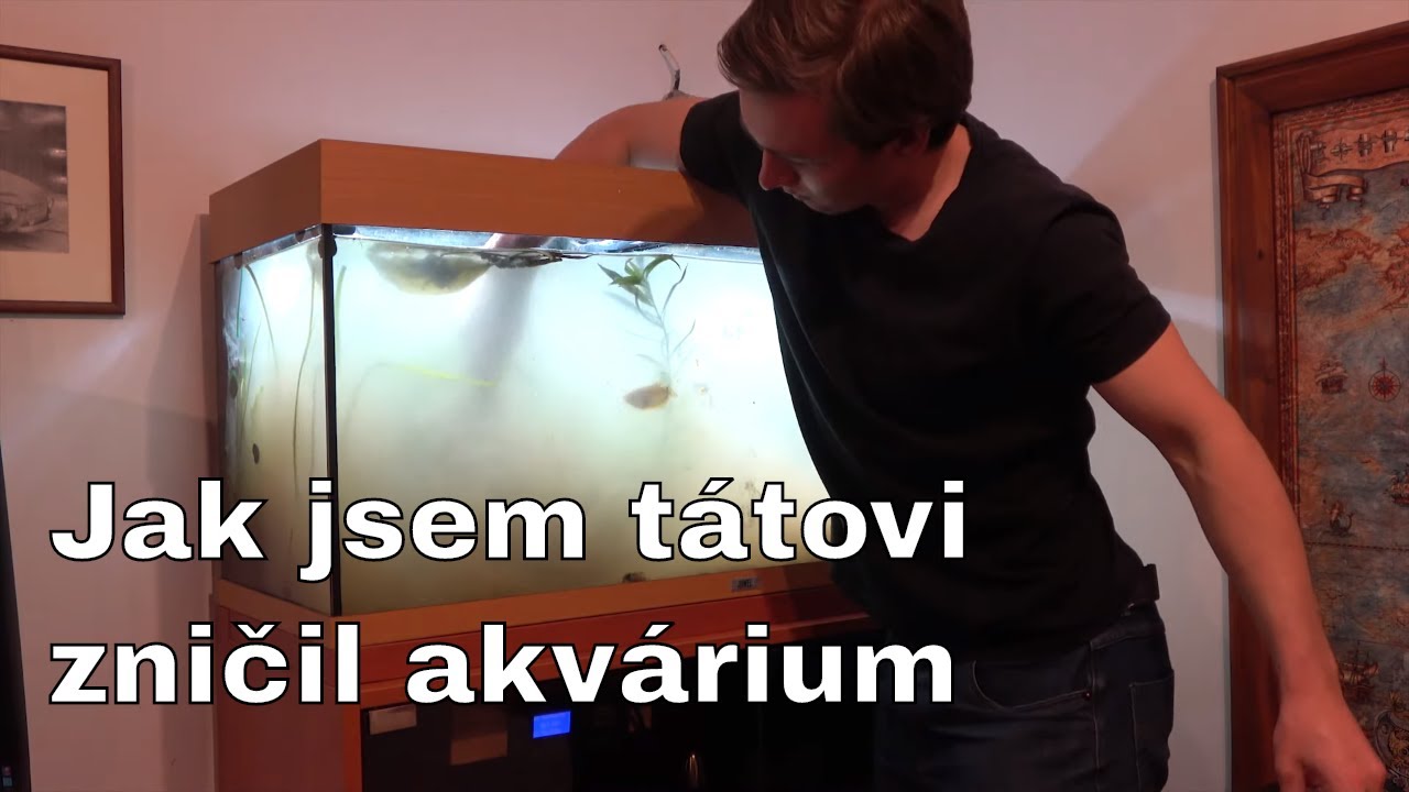 Jak jsem tátovi zničil akvárium