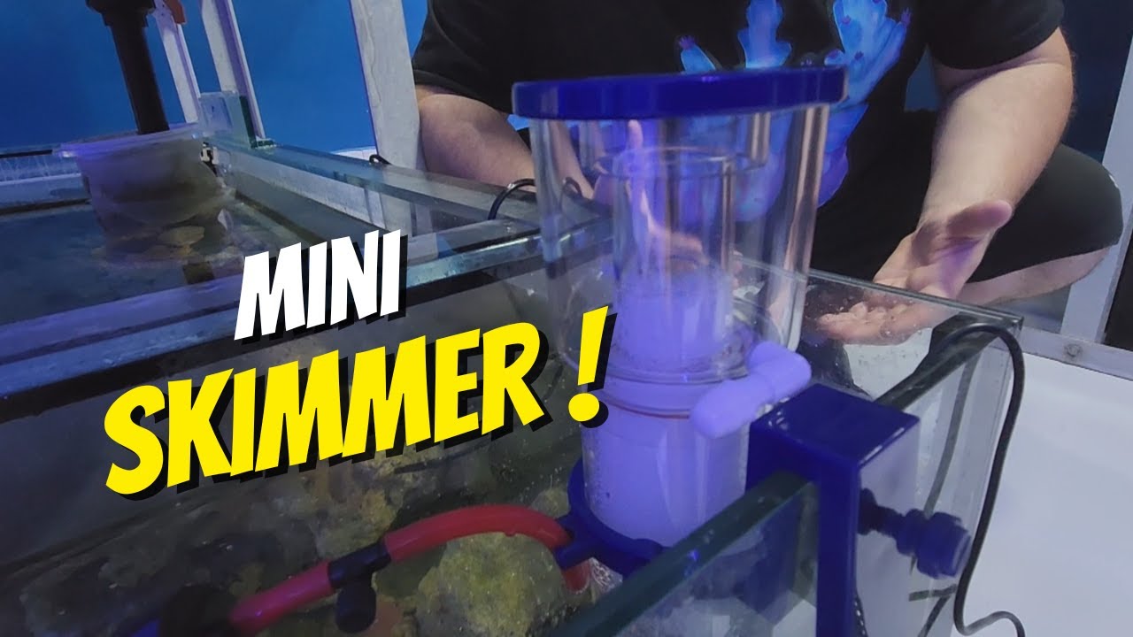Teste !! Colocamos um Skimmer para Nano Reef em uma bateria com 2547 litros de água salgada