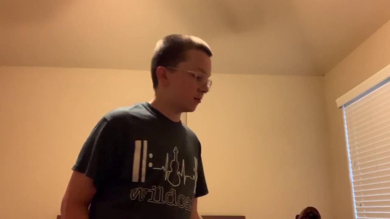 Violin/Viola setup with Cole