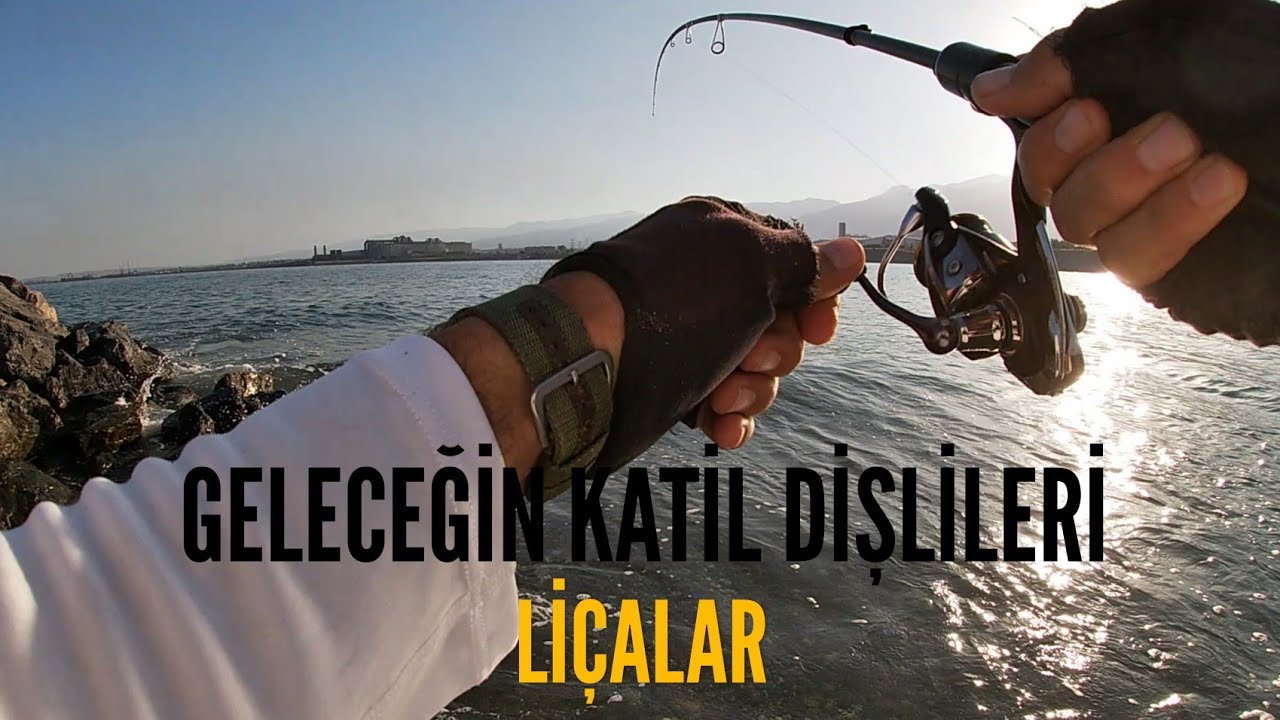 LRF ile yarım saatte 10 balık ve sayısız Atak! | Mini popper ile liça oyunları #lrf #catchandrelease