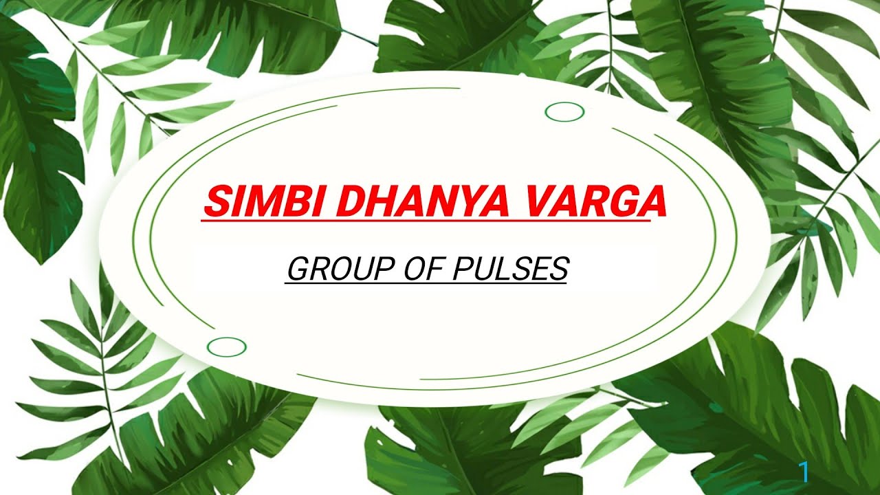 Simbi Dhanya Varga || Bams | Group Of Pulses