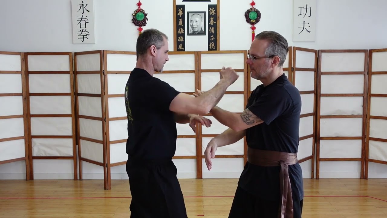 WIng Chun Kung Fu Niveau 2 leçon no 8