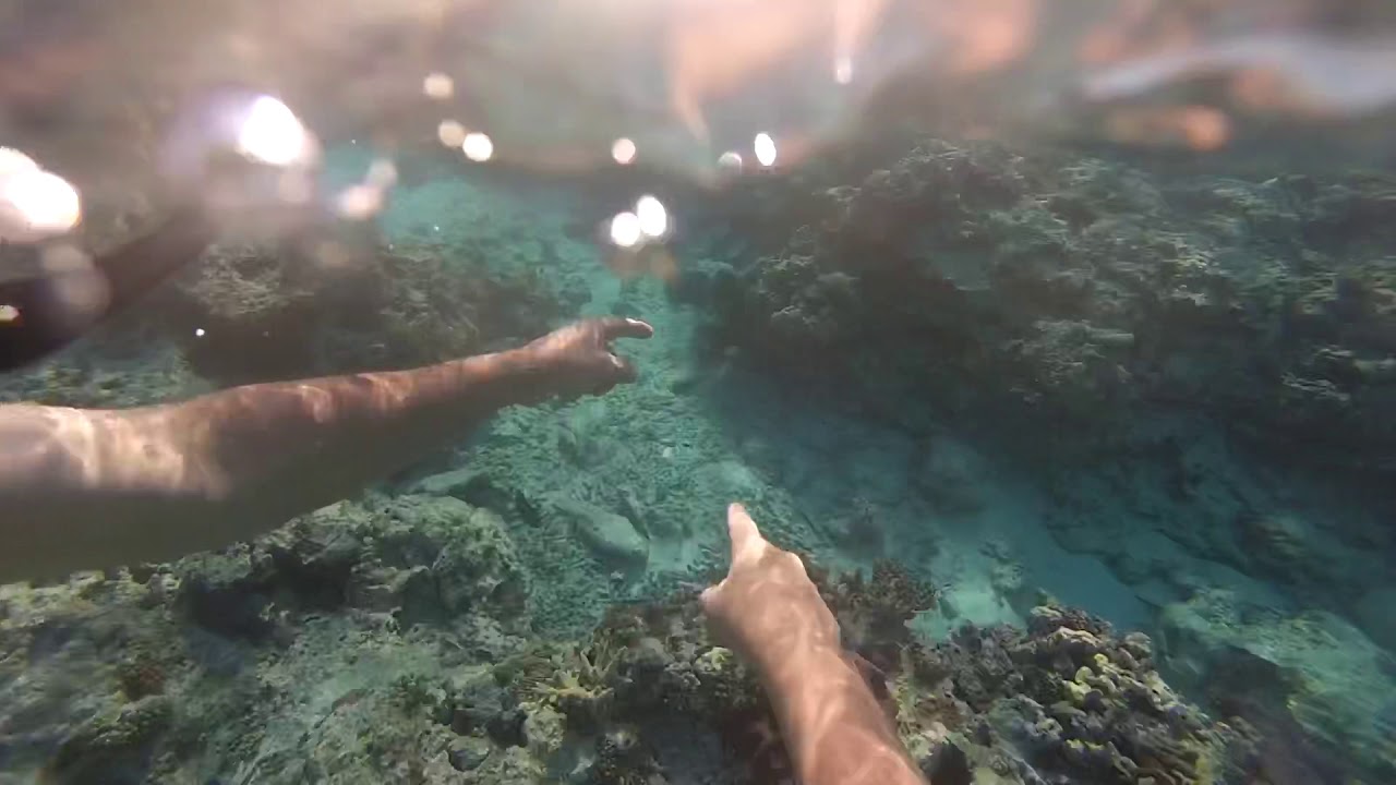 Sykes Reef
