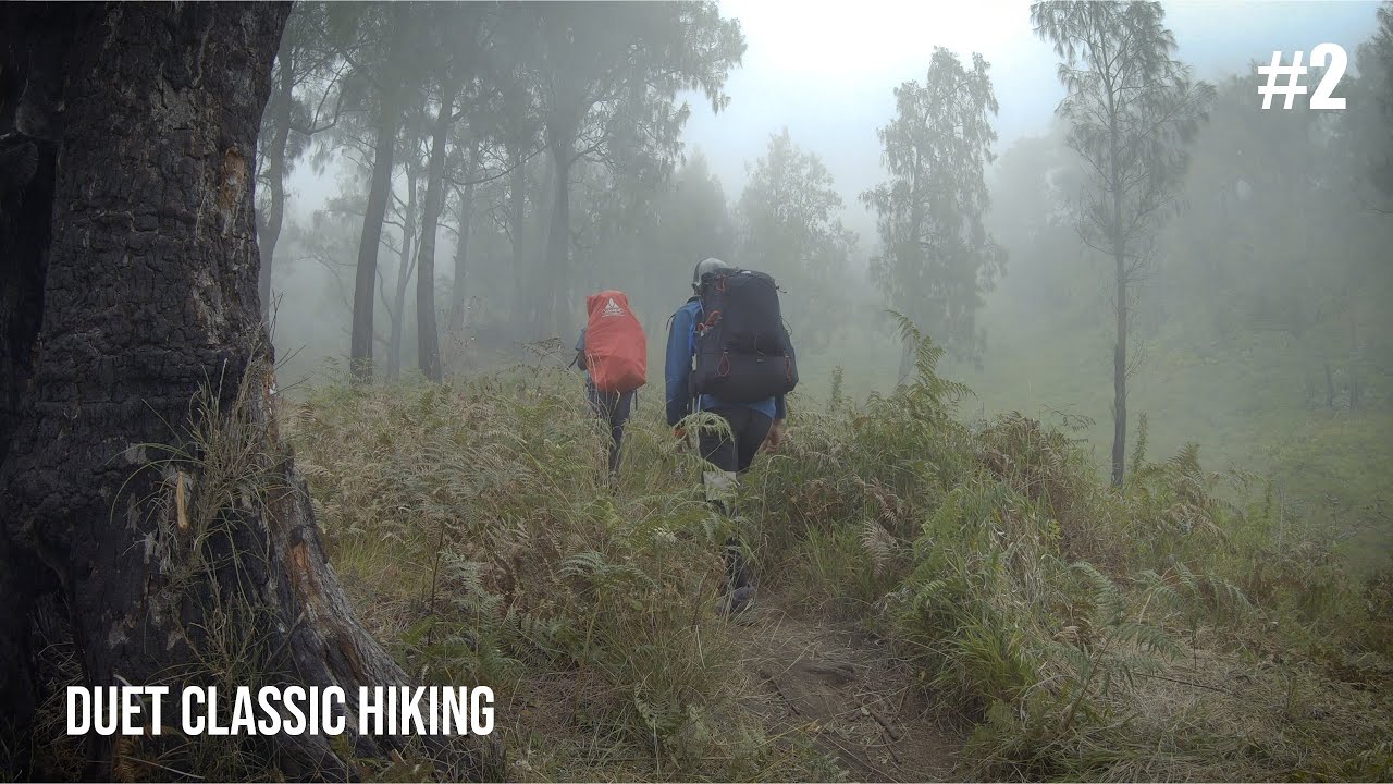 Kabut di Alas Lalijiwo, Gunung Arjuno via Lawang #2