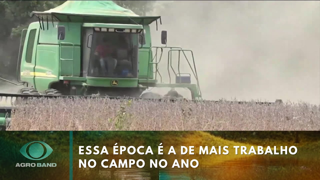 Colheita de soja e plantio do milho aumentam trabalho no campo | Agro Band