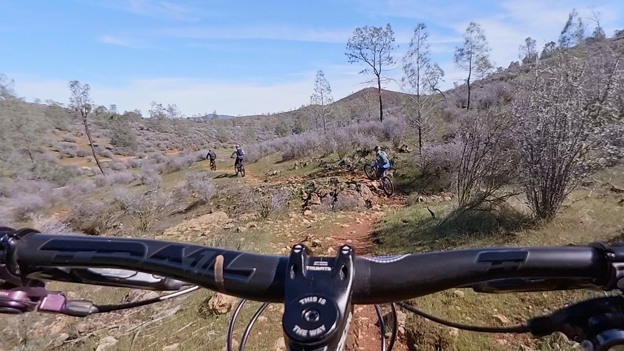 Red Hills – Trogs!