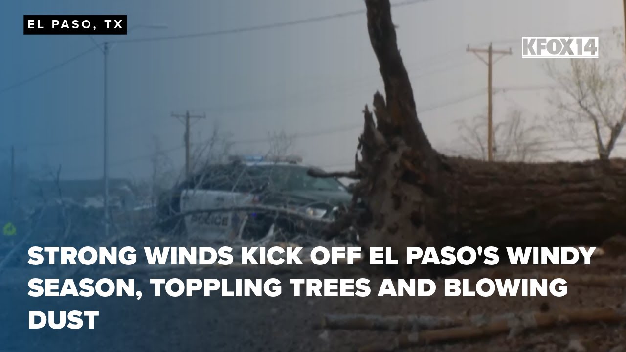 Strong winds kick off El Paso’s windy season, toppling trees and blowing dust