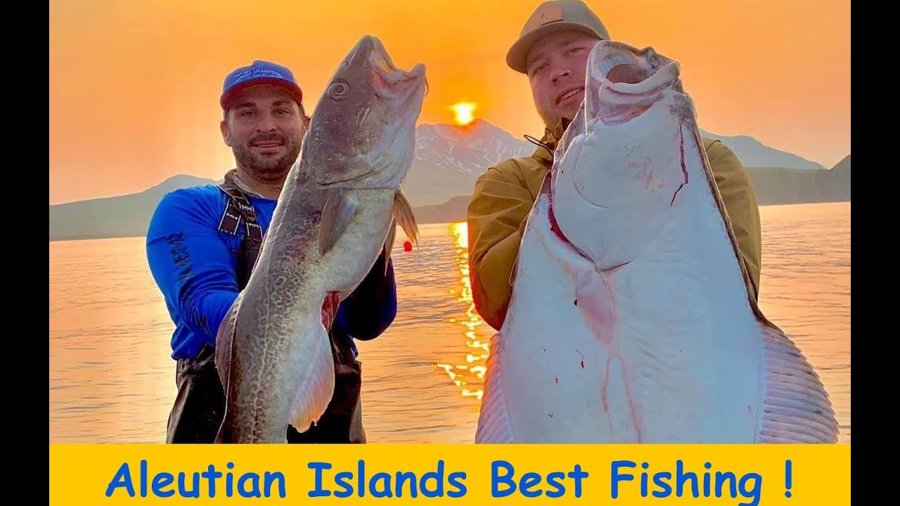Cold Bay,  Alaska's  Best fishing lodge in  Aleutians